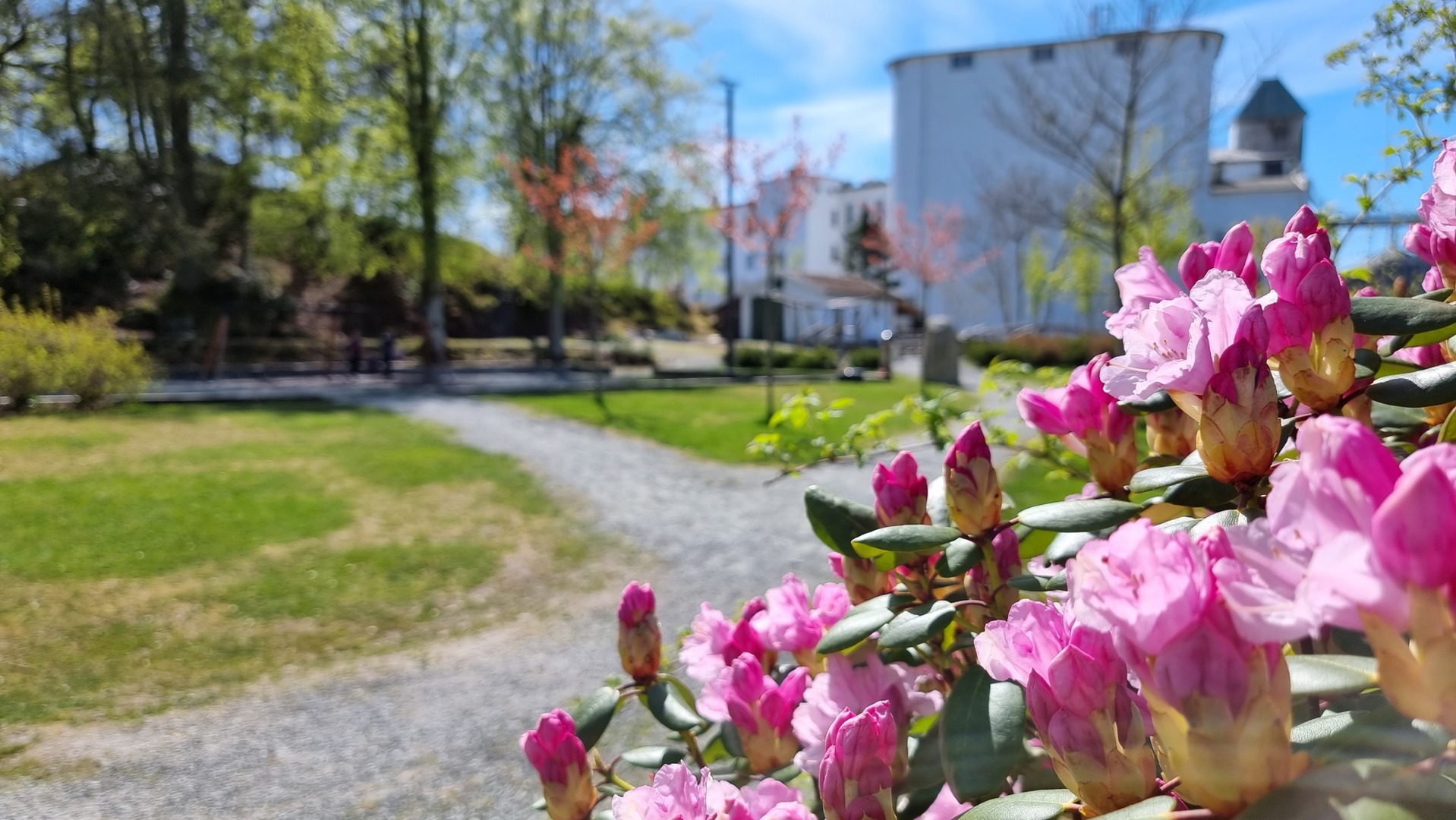 Velkommen til vår nye hjemmeside!