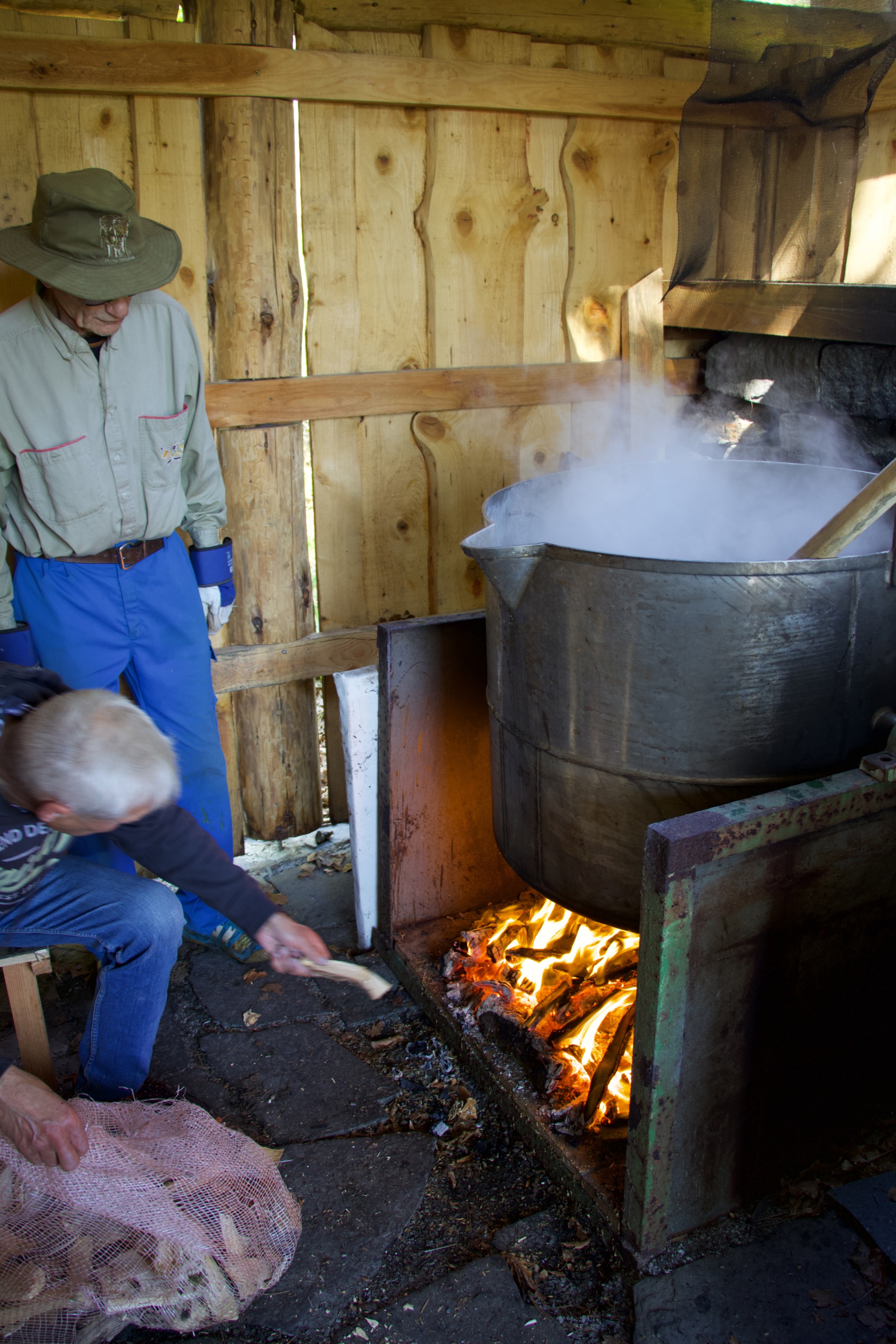 Tradisjonsbrygging i Mølleparken