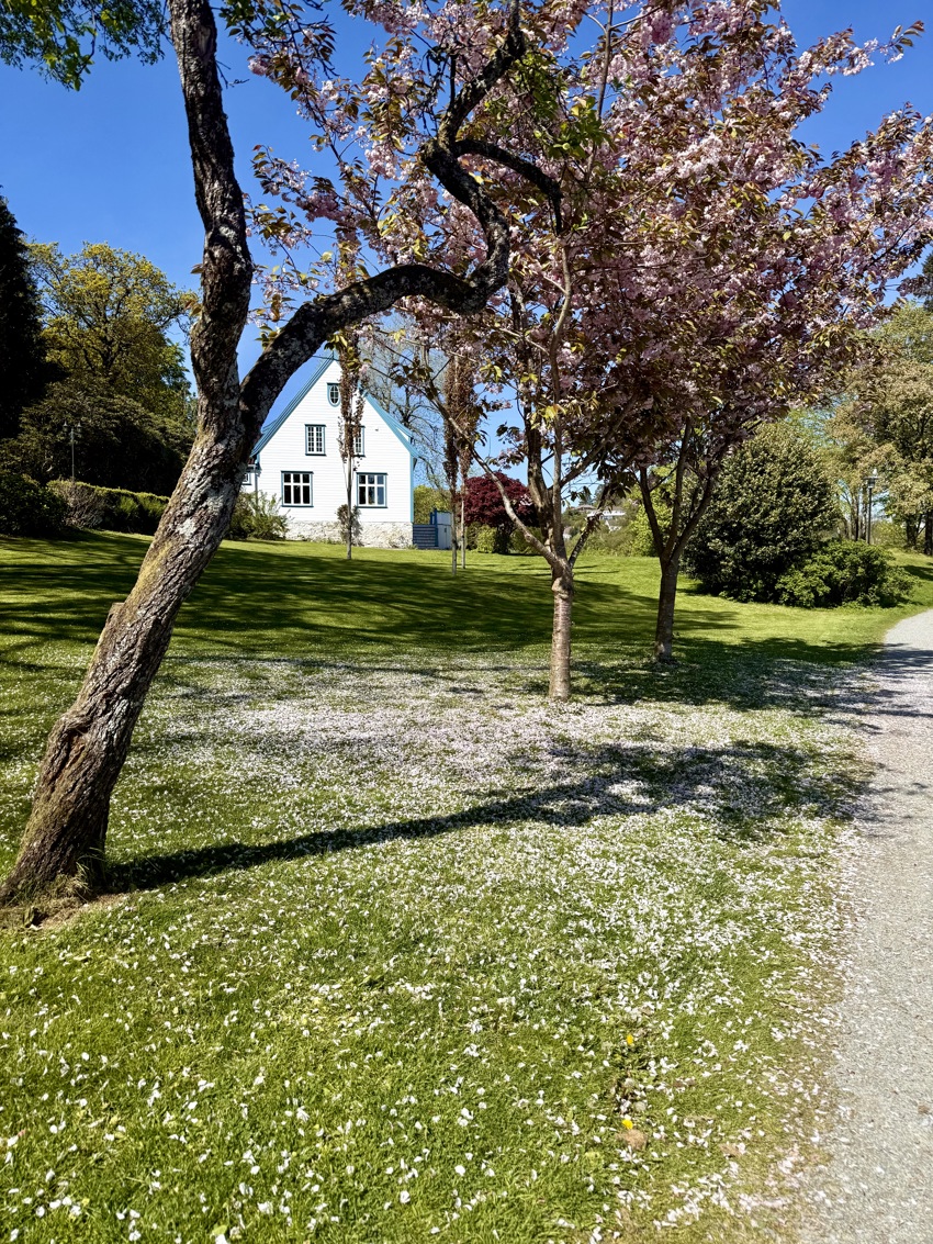 Seniortreff i Mølleparken